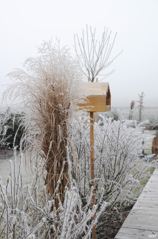 Vogelhäuschen im Wintergarten bei blick7