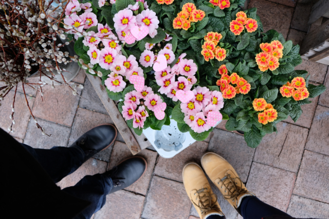 blumenladen